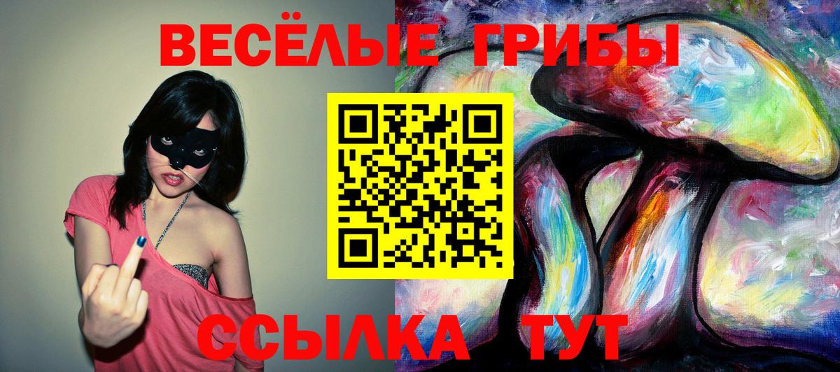 Псилоцибиновые грибы MAGIC MUSHROOMS  Вход с VPN  Пятигорск 