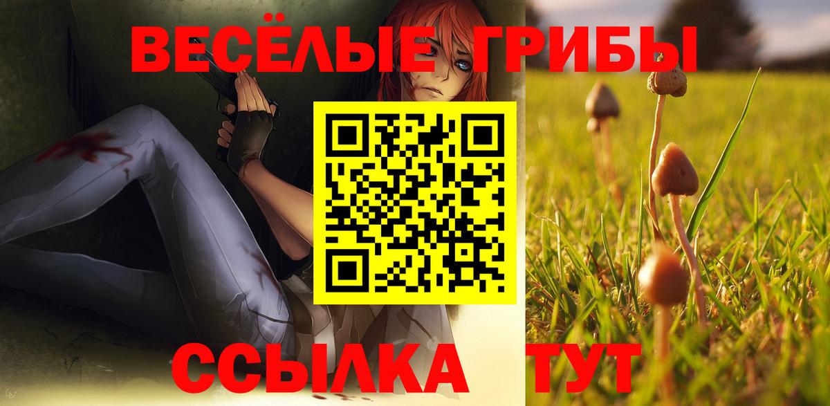 Псилоцибиновые грибы GOLDEN TEACHER  Пятигорск 